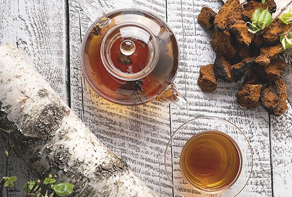 Tea Mushroom Secrets